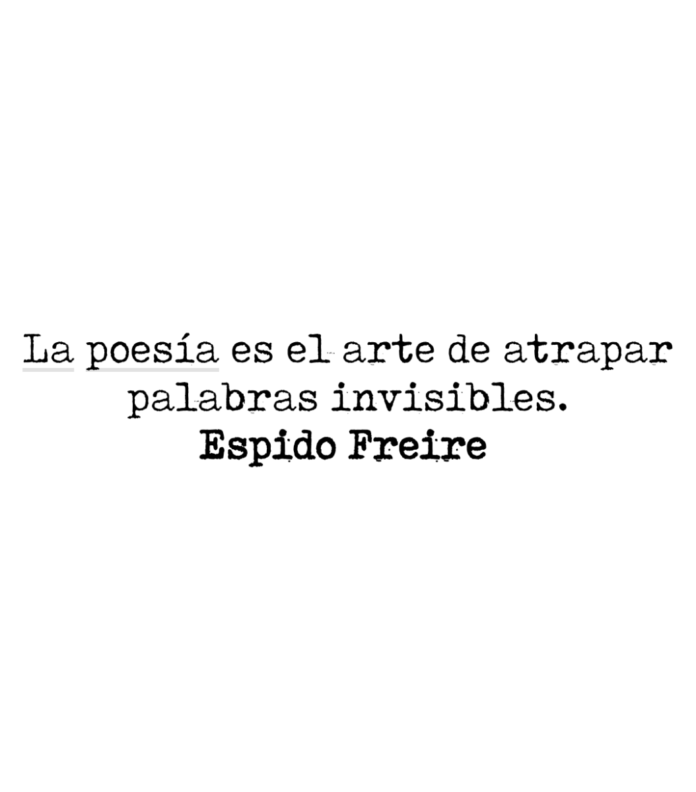 La poesía es el arte de atrapar palabras invisibles. Espido Freire.