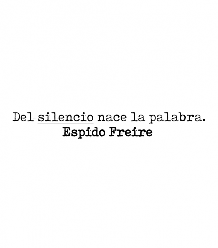 Del silencio nace la palabra. Espido Freire.